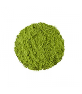 Matcha BIO