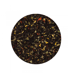 Je reviendrai à Montréal