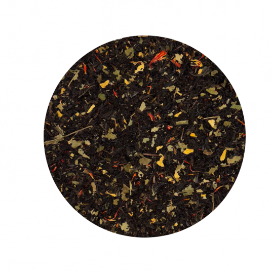 Je reviendrai à Montréal