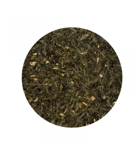 Automne sur la Riviera