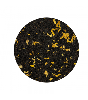 Un Automne à Central Park