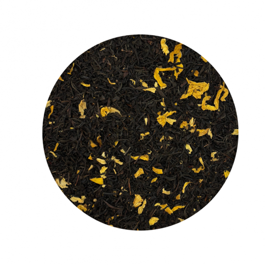 Un Automne à Central Park