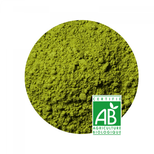 Matcha BIO