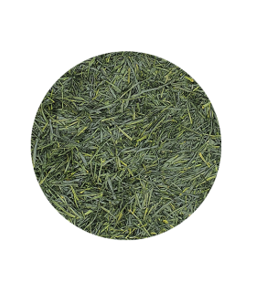 Gyokuro Perle de rosée