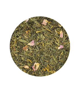 Si Versailles m'était conté