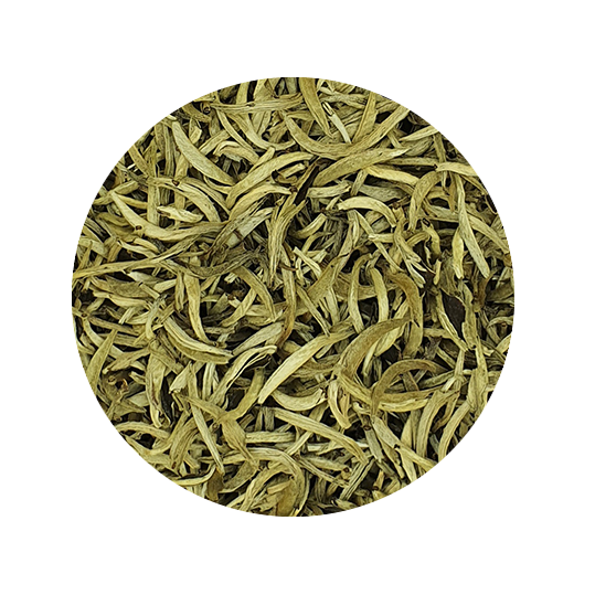 Yin Zhen