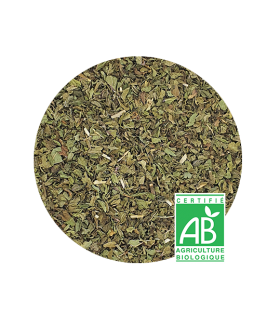 Menthe Poivrée Bio