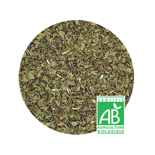 Menthe Poivrée Bio