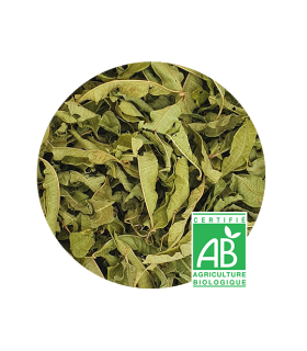 Verveine citronnée Bio
