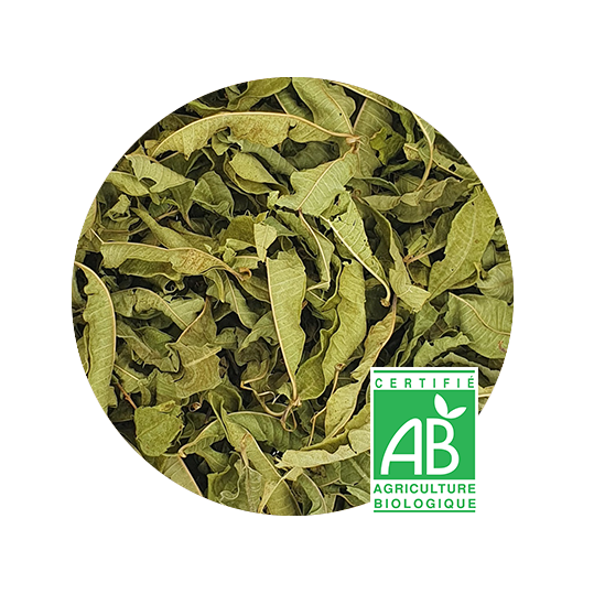 Verveine citronnée Bio