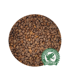 Los Olivales - Santander "Rainforest"