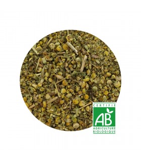 Camomille Bio