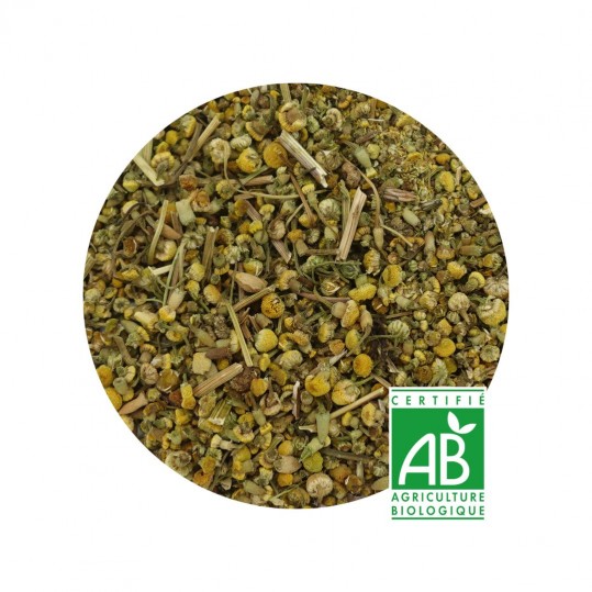 Camomille Bio